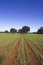 Similar image 8037696