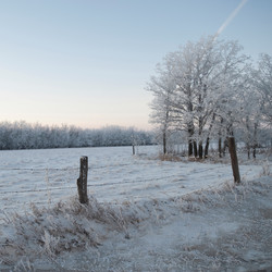 Similar image 8037731