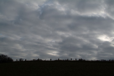 Similar image 8037742