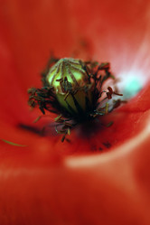 Similar image 8037743