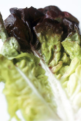 Similar image 8037755