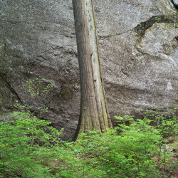 Similar image 8037756