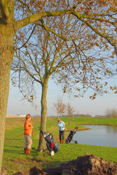 Similar image 8037808