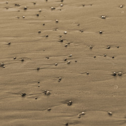 Similar image 8037810