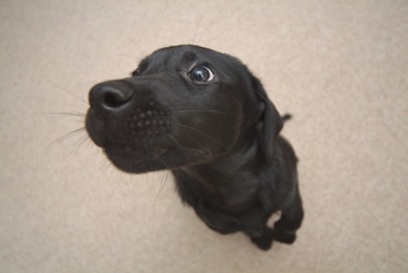 Similar image 8037814