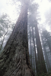 Similar image 8037816