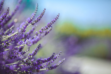 Similar image 8037854