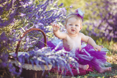 Similar image 8037857