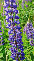 Similar image 8037897