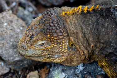 Similar image 8037951