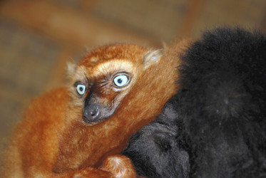 Similar image 8037953