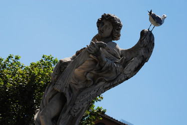 Similar image 8037957