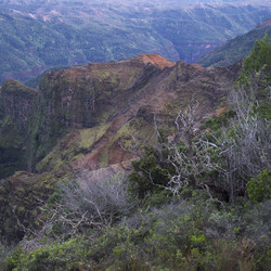 Similar image 8038020