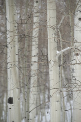 Similar image 8038023