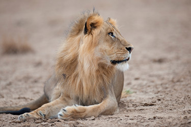 Similar image 8038024