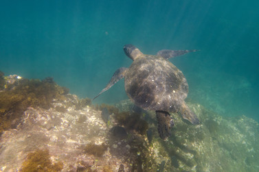 Similar image 8038030