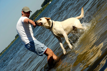 Similar image 8038033