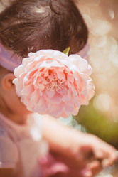 Similar image 8038038