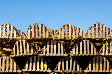 Similar image 8038077