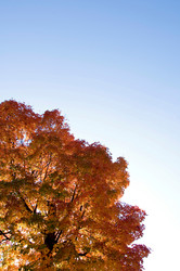 Similar image 8038079