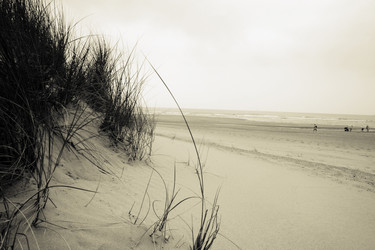 Similar image 8038080