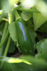 Similar image 8038083