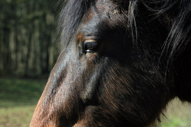 Similar image 8038084