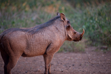 Similar image 8038092