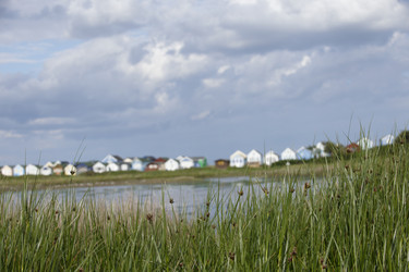 Similar image 8038093