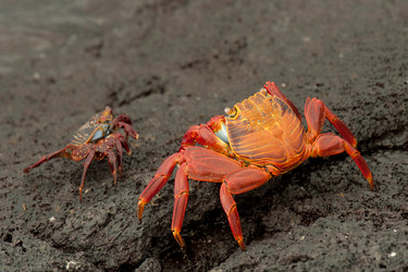 Similar image 8038094