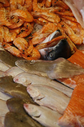 Similar image 8038095