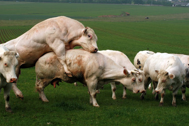 Similar image 8038106