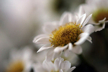 Similar image 8038108