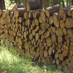 Similar image 8038109