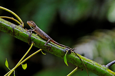 Similar image 8038112