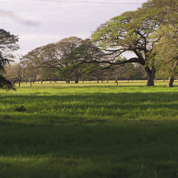 Similar image 8038120