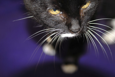 Similar image 8038121