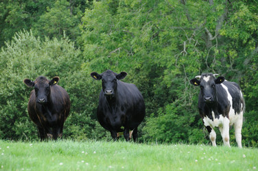 Similar image 8038128