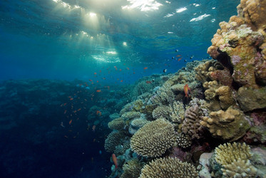 Similar image 8038130