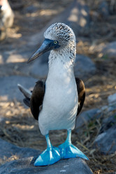 Similar image 8038132