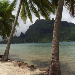 Similar image 8038134