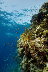 Similar image 8038153