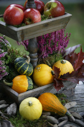 Similar image 8038155