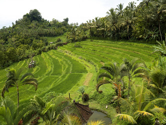 Similar image 8038162