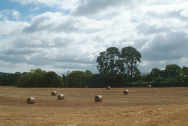 Similar image 8038169