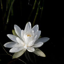 Similar image 8038176