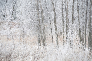 Similar image 8038181