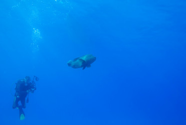 Similar image 8038182