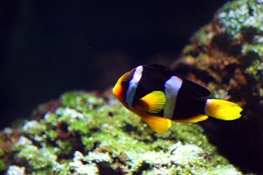 Similar image 8038202