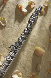 Similar image 8038205